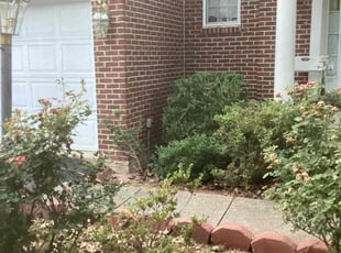 Bush Trimming by Donald Tucker for Hawa B. in Woodbridge, VA