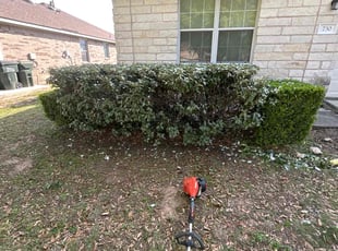 Bush Trimming by Bobby Green for Tiffany H. in Kyle, TX
