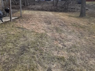 Leaf Removal by Jeremy Osell for McKayla K. in Minneapolis, MN