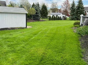 Laura D.'s Lawn Service service result