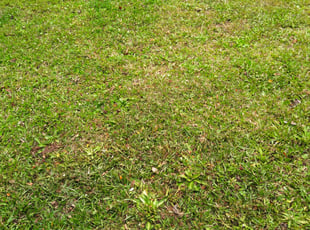 Cleanups by John Anthony Camacho for Marissa R. in North Charleston, SC