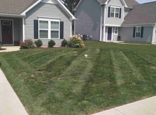 Barbara A.'s Grass Cutting service result