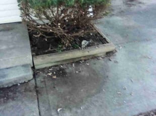 Landscaping by Andrew Hendrickson for Robert H. in Kansas City, MO