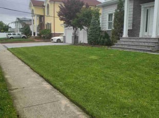 Carole W.'s Lawn Mowing service result