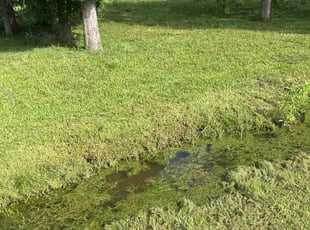 Douglas B.'s Cleanups service result