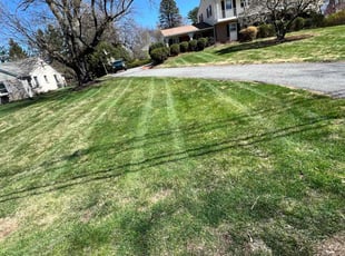 Sherman F.'s Lawn Service service result