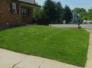 Kai S.'s Lawn Service service result