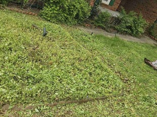 Weeding by Gabriel Greene for Bennie h. in Smyrna, TN