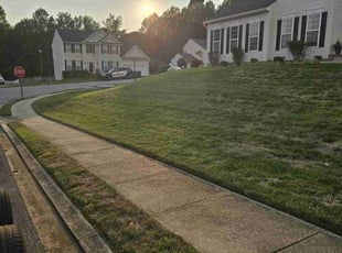 Lna L.'s Lawn Mowing Service service result