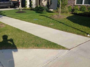 Marlo H.'s Lawn Care service result