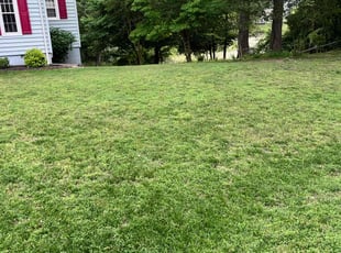April C.'s Lawn Care service result