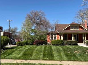 Tonja R.'s Lawn Mowing service result