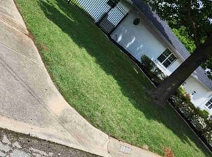 Julian G.'s Lawn Service service result