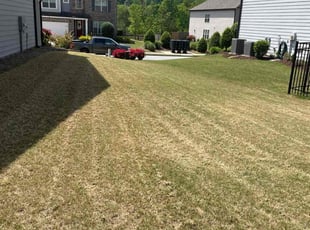 Barbara O.'s Lawn Service service result