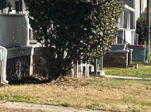 Bush Trimming by James Mozelle for Janeih B. in Norfolk, VA