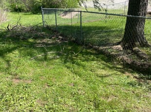Cleanups by Daniel Baker for Christina O. in Spring Hill, TN