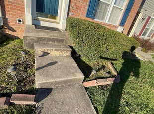 Bush Trimming by Reginald Blue for Melissa D. in Joppatowne, MD