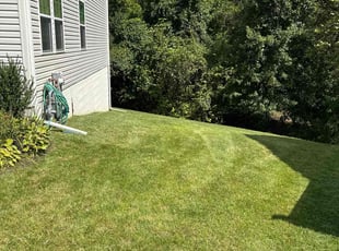 Paul G.'s Lawn Mowing Service service result