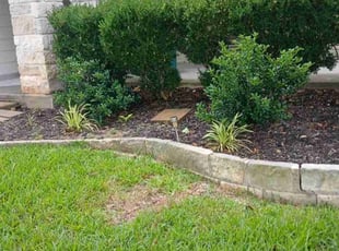 Weeding by Rene Andrade for Pam P. in Austin, TX