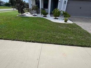 David A.'s Lawn Mowing service result