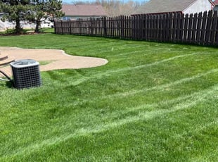 Dannielle A.'s Lawn Service service result