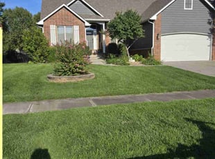 Teresa v.'s Lawn Maintenance service result