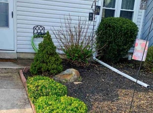 Bush Trimming by Martin Ortiz Cortez for Carolyn R. in Newark, DE
