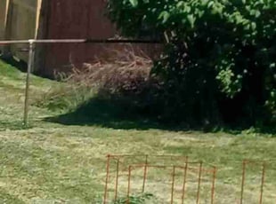 Cleanups by Daniel Jimenez for Jennifer M. in Allentown, PA