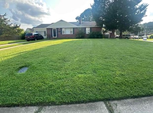 Kristine S.'s Lawn Mowing Service service result