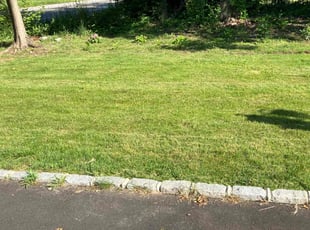 Joan C.'s Lawn Mowing service result