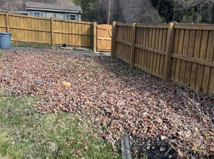 Leaf Removal by Dimas Lopez for Carliss M. in Parkville, MD