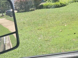 Bush Trimming by Durand Turner for Candace B. in Douglasville, GA