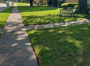 Moises V.'s Lawn Care service result