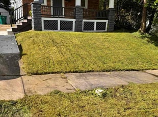 Frances B.'s Yard Cutting service result
