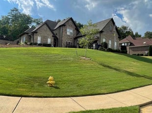 Salena B.'s Lawn Mowing service result