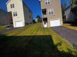 Nadene S.'s Lawn Mowing service result