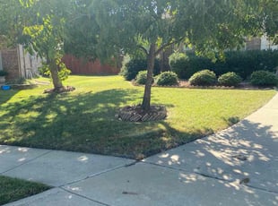 Grace O.'s Lawn Mowing service result