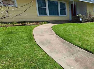 JAMES S.'s Yard Cutting service result