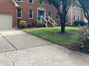 Bernard H.'s Lawn Mowing service result