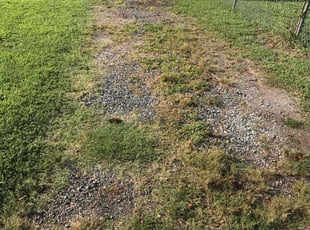 Weeding by Davon Lightfoot for Teagan B. in Highland Springs, VA