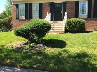 Leaf Removal by Elder E Larios for Debra R. in Fort Washington, MD