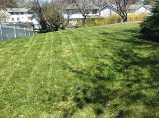 Amy W.'s Lawn Service service result