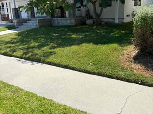 Joel W.'s Lawn Mowing service result
