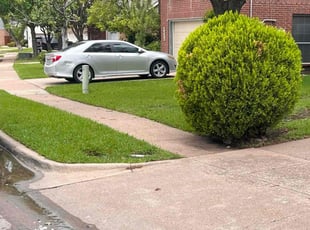Eleanor W.'s Yard Cutting service result