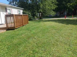 Martin H.'s Grass Cutting service result