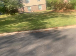Tobias W.'s Lawn Mowing service result