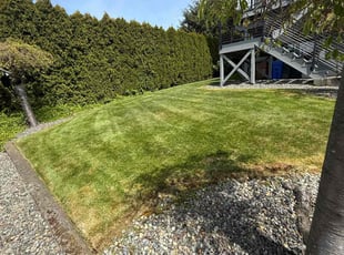 Jerry P.'s Lawn Mowing Service service result