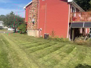 Michael M.'s Lawn Mowing Service service result