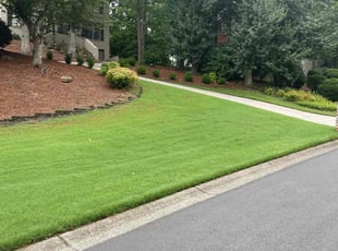Tommy Z.'s Lawn Mowing service result