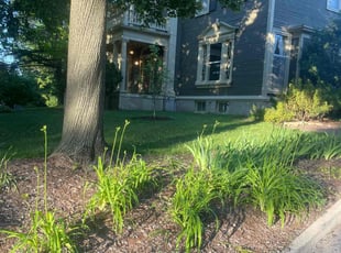Deb K.'s Lawn Care service result